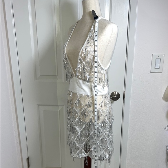 Silver Sequin Fringe Dress - Picture 5 of 8